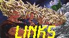 Links 