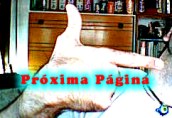 Sentimos no tener a�n esta parte finalizada ��