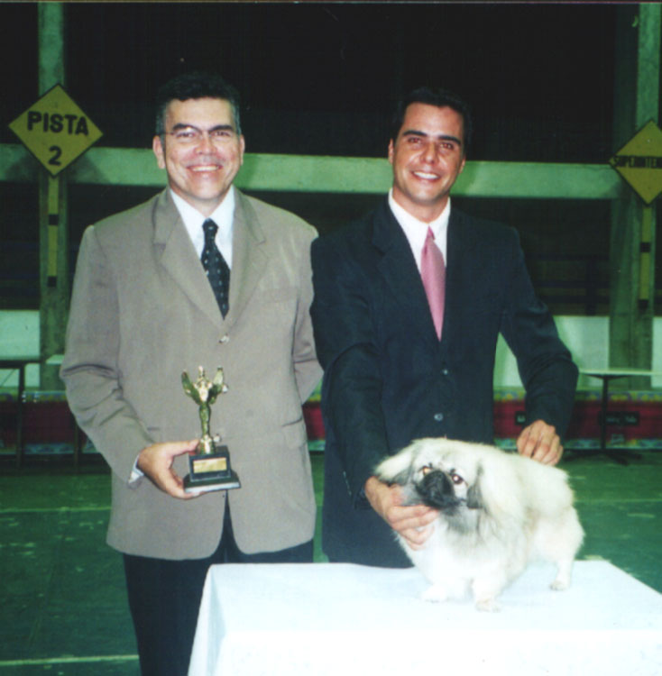 Best Puppy In Show