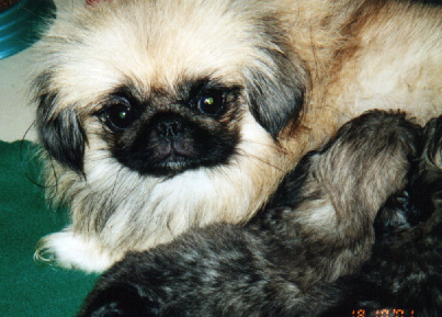 Vanilla