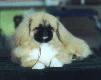 Victor
