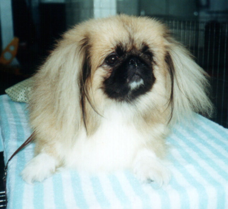 Victor