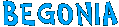 begonia.jpg (10186 byte)