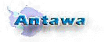 Boletn Antawa - Informacin filtatlica