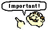 important!