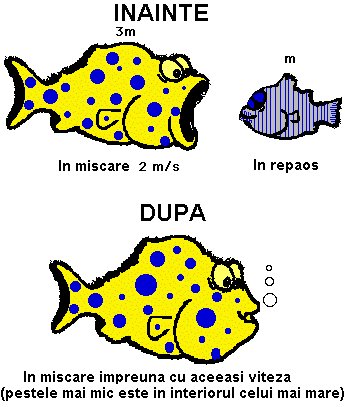 large fish swallows small fish