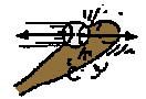 ball and bat