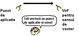 vector head and tail
