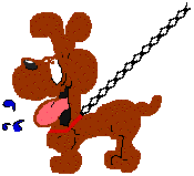 dog on a chain