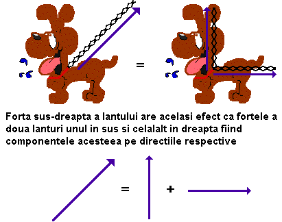 dog on a chain