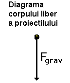 free body diagram