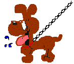 fido and dog chain