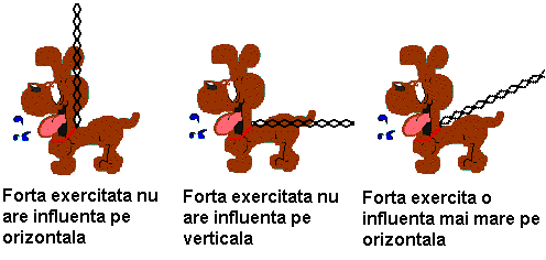 dog chain diagram