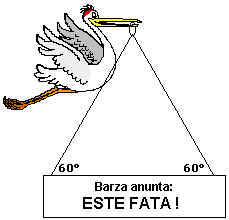 stork