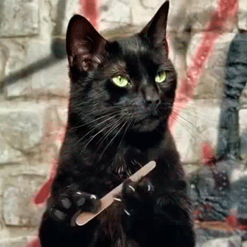 Cat Filing Nails