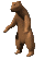 Graphic of Bear