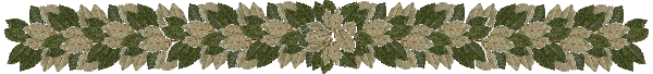 green divider