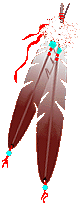 feathers