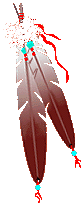feathers