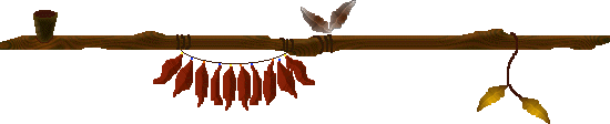 peace pipe