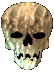 skull