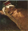 calf02.jpg (21874 bytes)