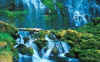 waterfall.jpg (27520 bytes)