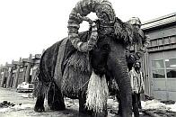 TBantha, Behind the Scenes Of..