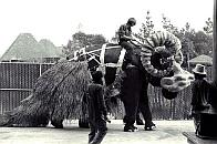 TBantha, Behind the Scenes Of..
