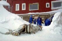 Behind The Scenes Of Tauntaun