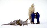 Behind the scenes,The Wampa