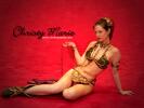 Christy Marie in Leia's Metal Bikini