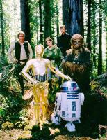 Endor Forest Revisited and Revamped