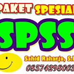 Paket Spesial Olah Data Statistik dengan SPSS