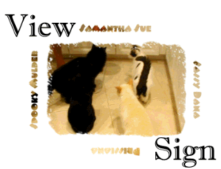 Catbook