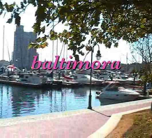 video baltimora