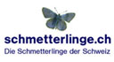 &Uuml;ber Schmetterlinge