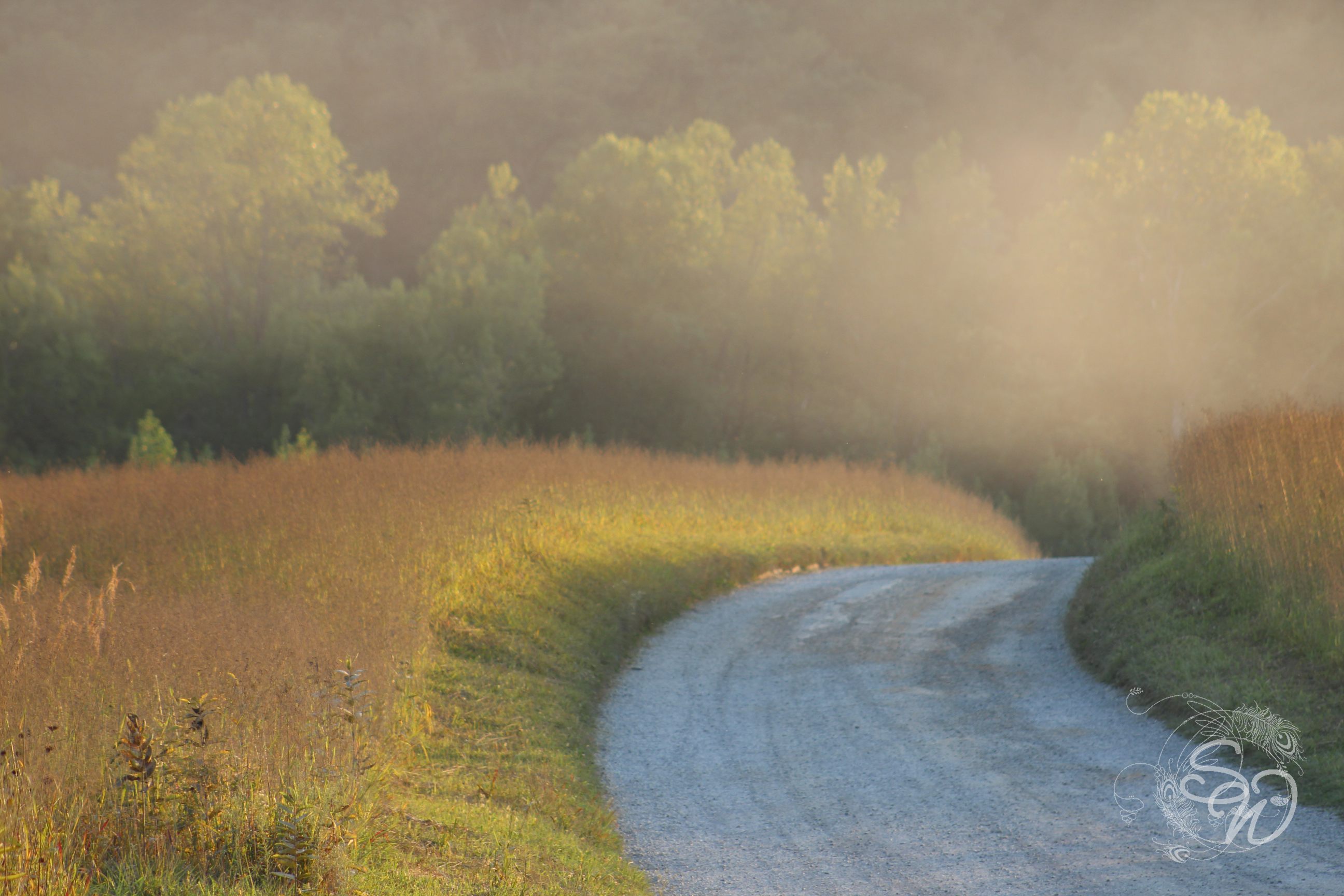 Dusty Backroad