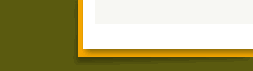 View All our Specialties!
