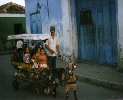 goats and children on a web site. is that legal?