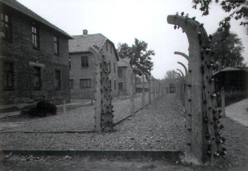 fence posts at Auschwitz 1