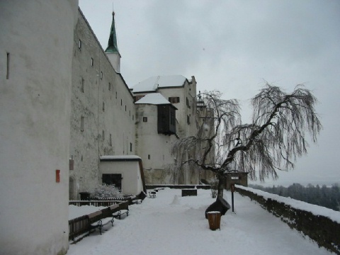 one of the bastions. and a tree....