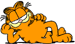 One cool cat