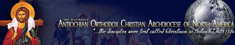 Our Archdiocese