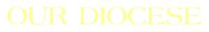OUR DIOCESE