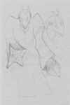 DIBUJO1.jpg (343454 bytes)