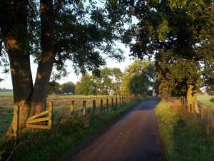 Vindolanda Road 2
