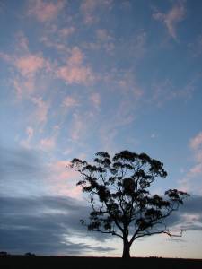 Sunset on Tank Hill