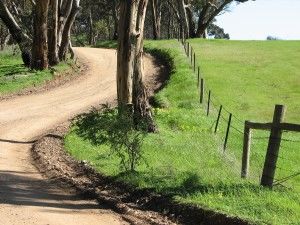 Scobie Walk 1
