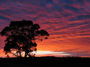 Sunrise over Clare